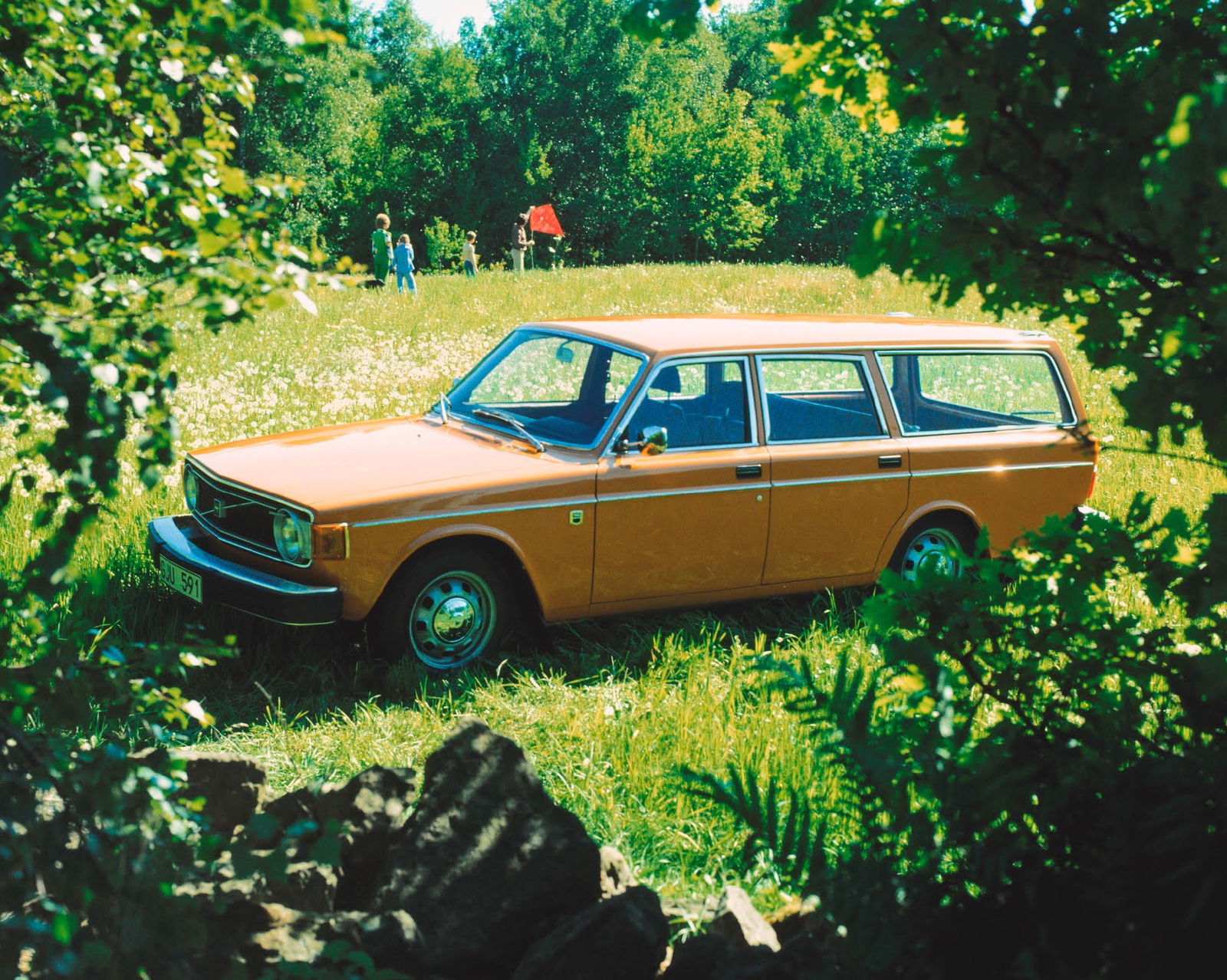 A 1967 Volvo 145 in a field