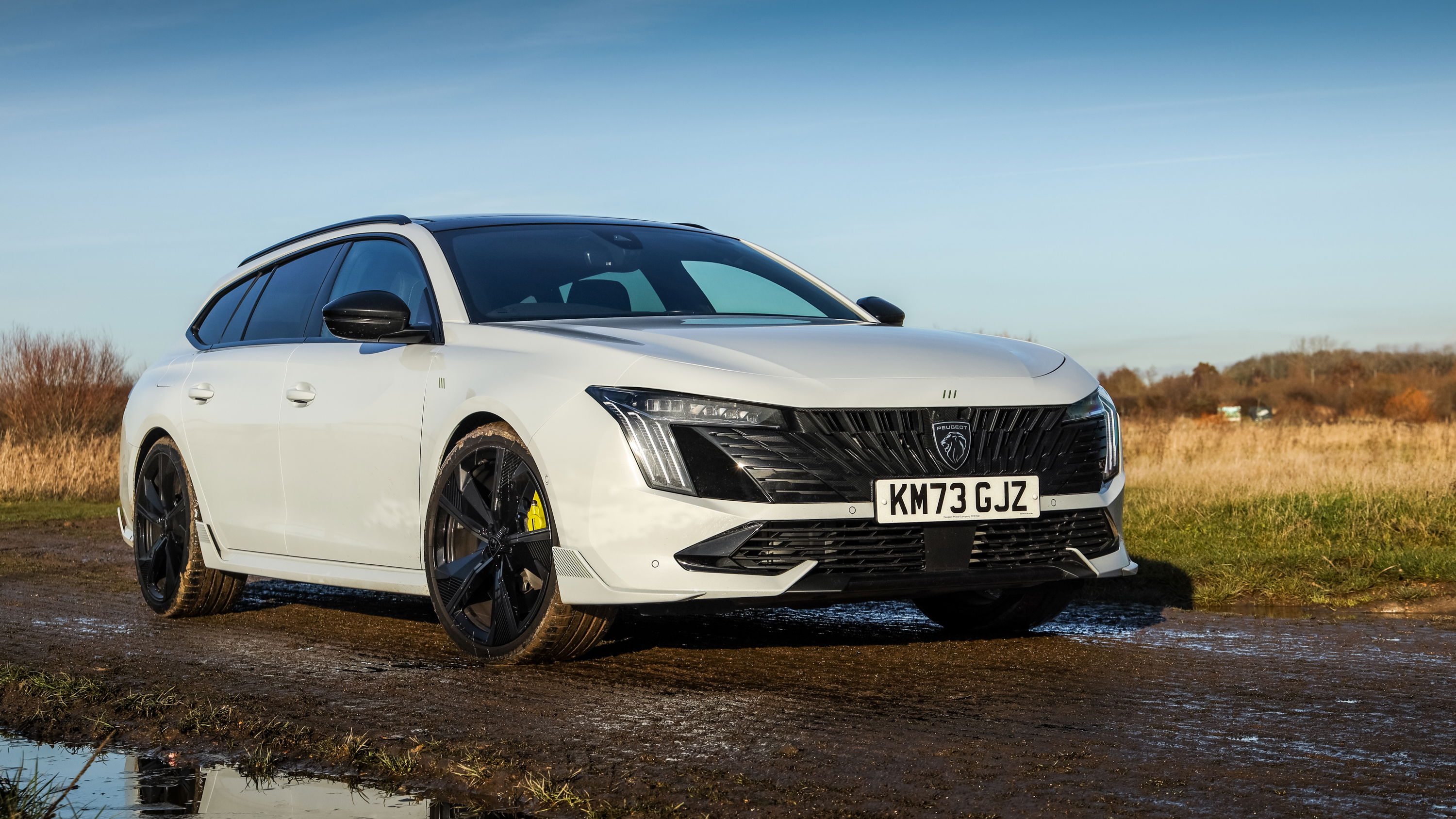 Peugeot 508 PSE - front