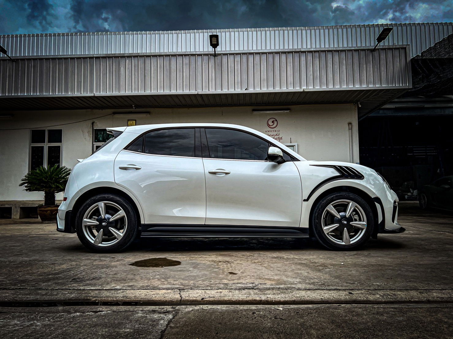 Ora Funky Cat Does Porsche 911 GT3 RS Cosplay With Weirdly Great Results