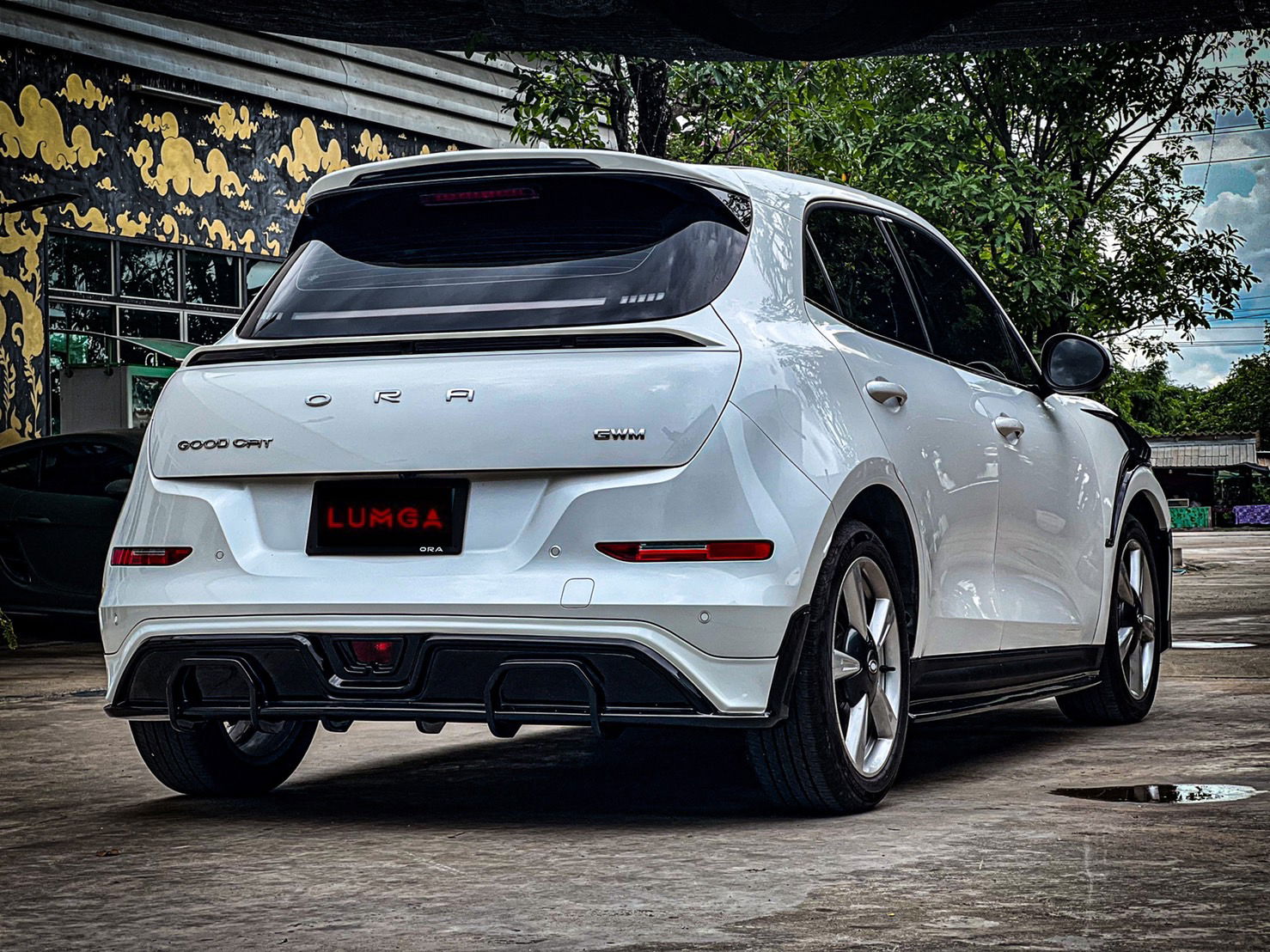 Ora Funky Cat Does Porsche 911 GT3 RS Cosplay With Weirdly Great Results