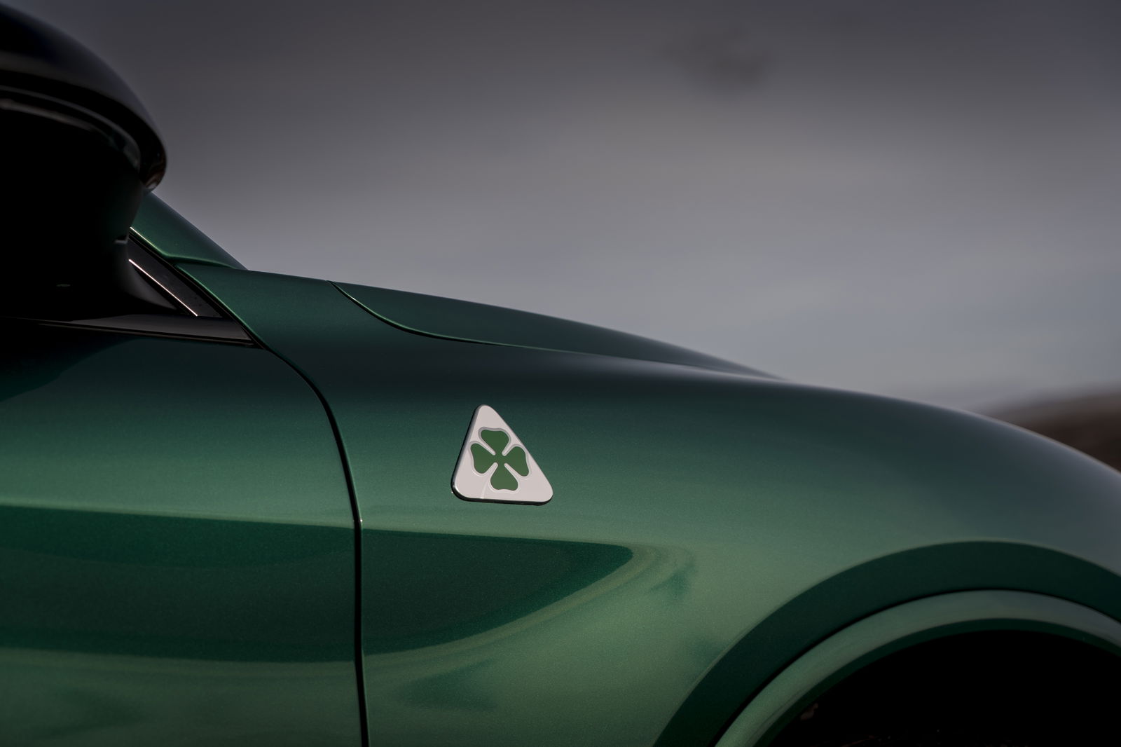 Alfa Romeo Stelvio Quadrifoglio - badge detail
