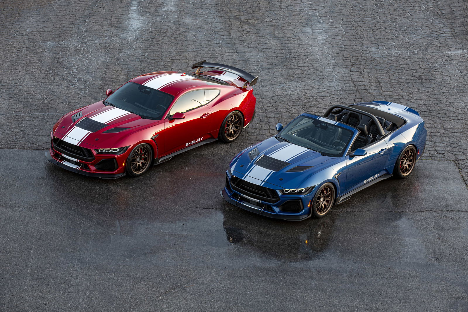 2024 Shelby Super Snake