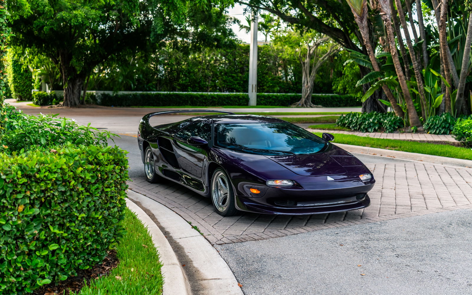 Vector M12 - front