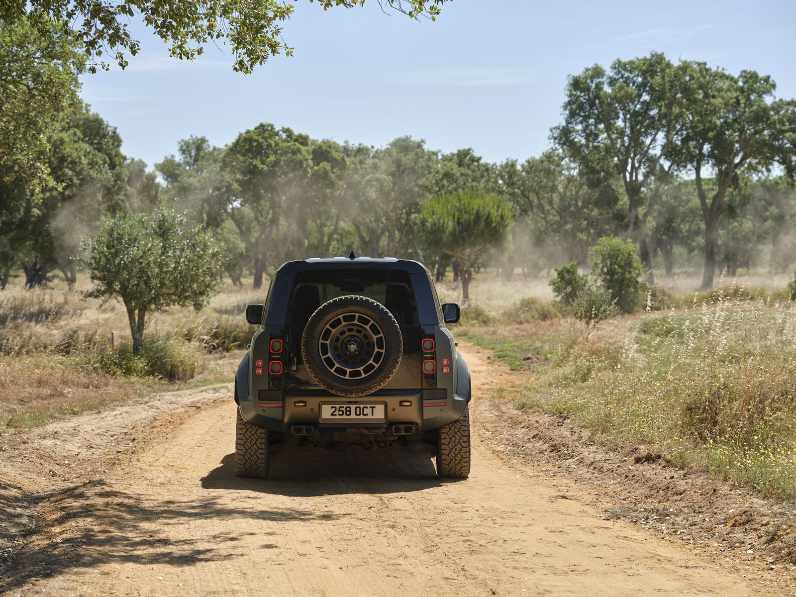 Land Rover Defender OCTA - rear