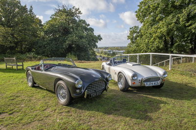 New AC Ace and original AC Cobra