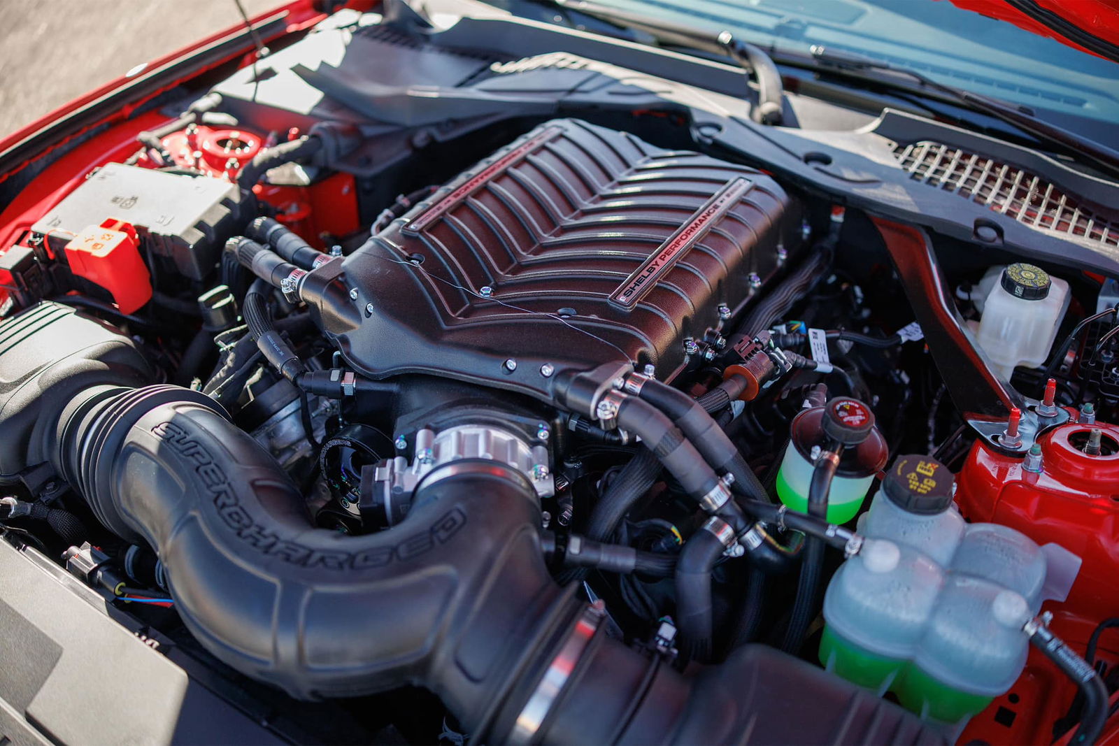 Shelby GT350 - engine bay