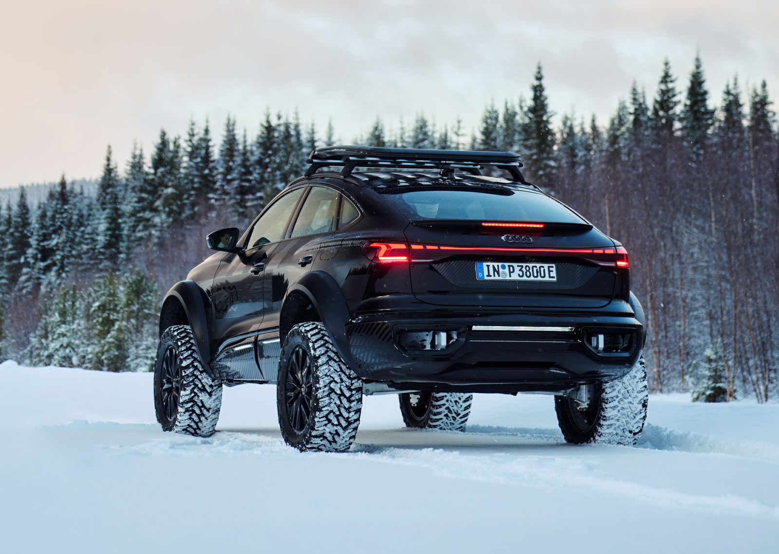 Audi Q6 E-Tron Offroad Concept - rear