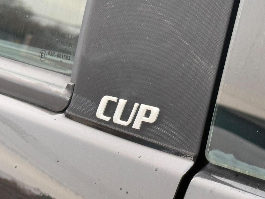 Renault Twingo 133 Cup - side detail