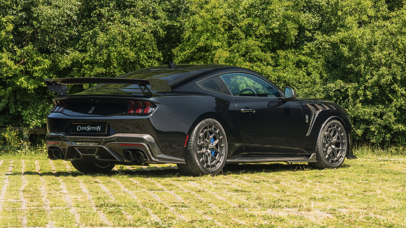 Ford Mustang CS800DH - rear