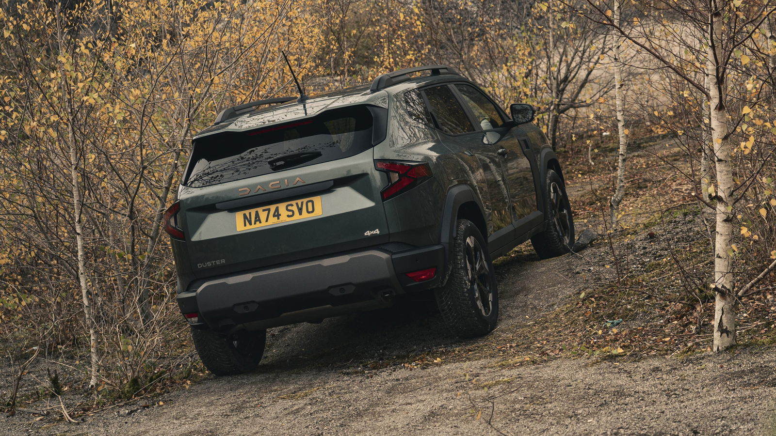 Dacia Duster 4x4 - rear