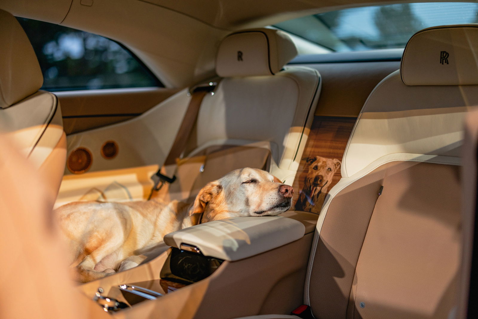 Rolls-Royce Spectre Bailey - interior