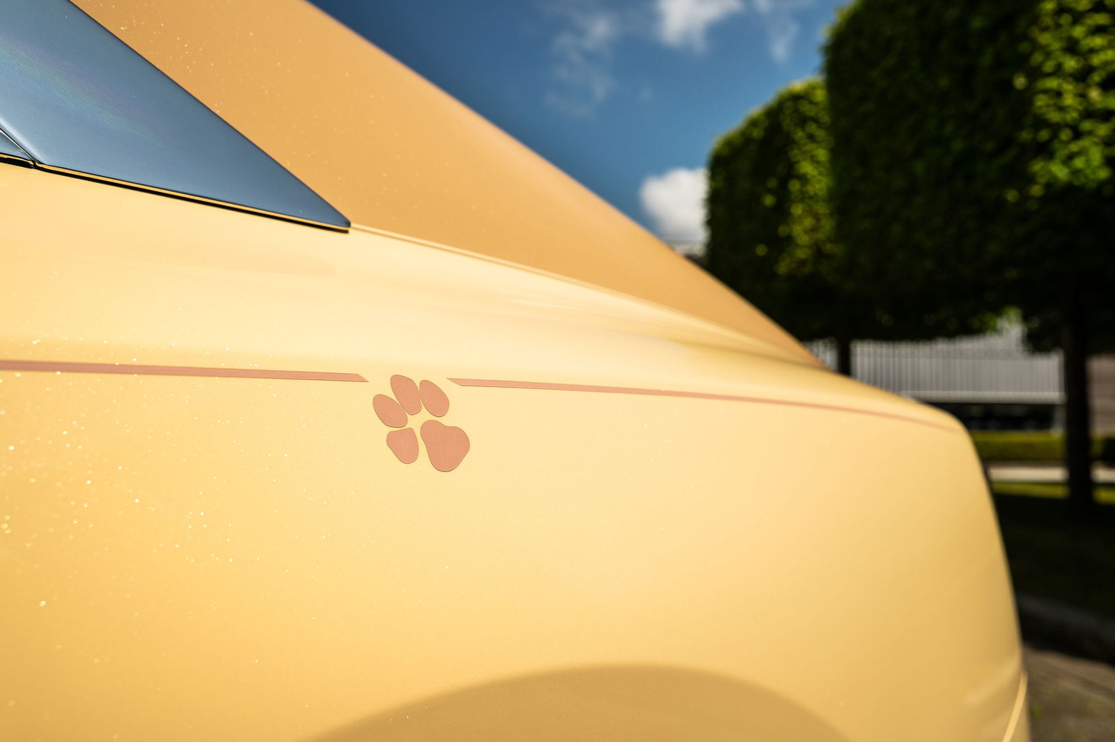 Rolls-Royce Spectre Bailey - detail