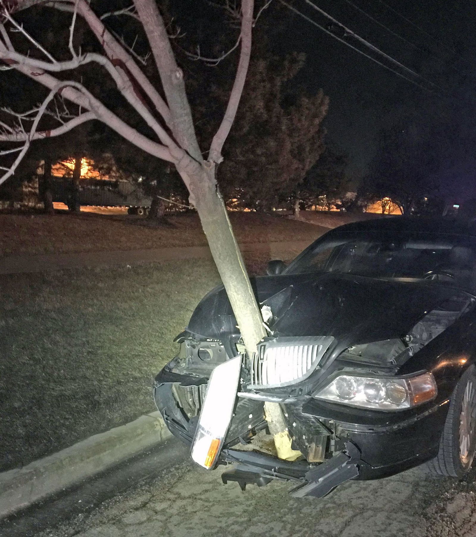 This Drunk Driver Hit A Tree And Carried On Like It Was No Big Deal