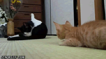 11 Gifs That Sum Up What It’s Like To Get Your Car Wrecked Or Stolen