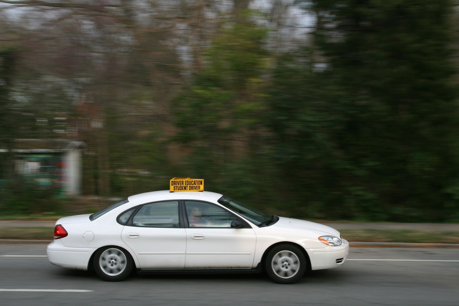 Learner Driver Passes Driving Test Despite Killing A Deer