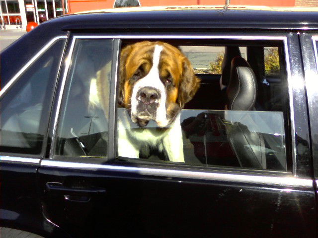 9 Weird Car Habits We Just Can’t Shake
