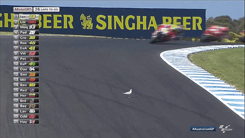 15 Gifs That Prove MotoGP Riders Are Not Human