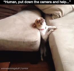 7 Struggles Only Tall Drivers Can Relate To
