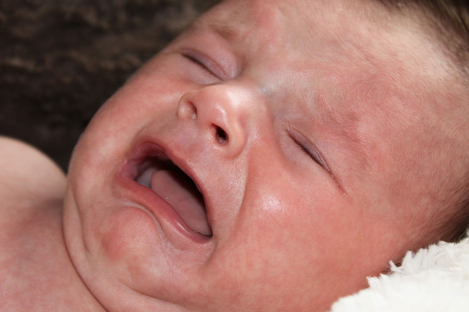 10 Sounds A Parent Never Wants To Hear Coming From The Back Seat