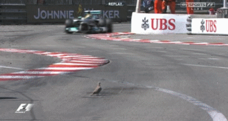 18 Spectacular Gifs Of F1 Racing Around Monaco