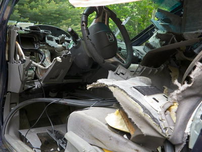 If A Distressed Bear Gets Trapped In Your Civic, You'll Need A Whole New Interior 