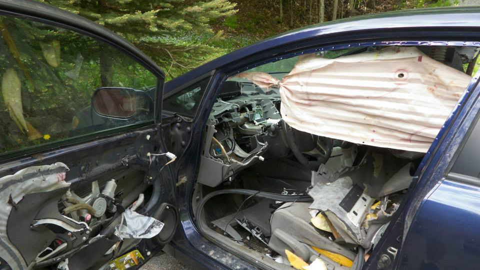 If A Distressed Bear Gets Trapped In Your Civic, You'll Need A Whole New Interior 