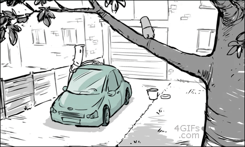 The Hidden Perils Of Washing Your Car Around Brazen Birds