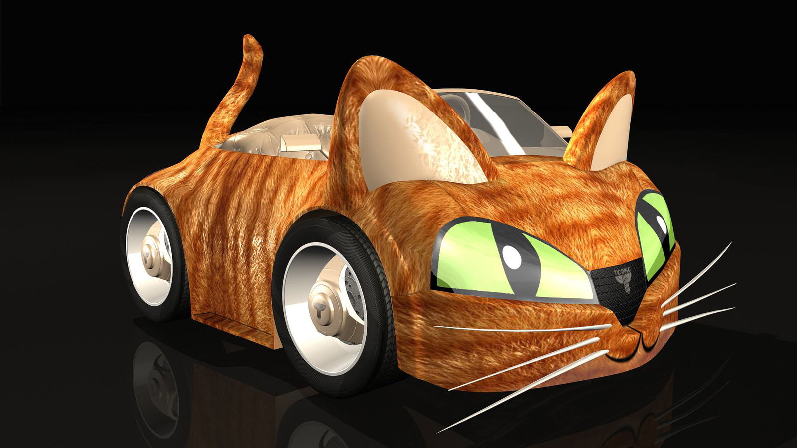 There's even something for Cat Throttle fans!