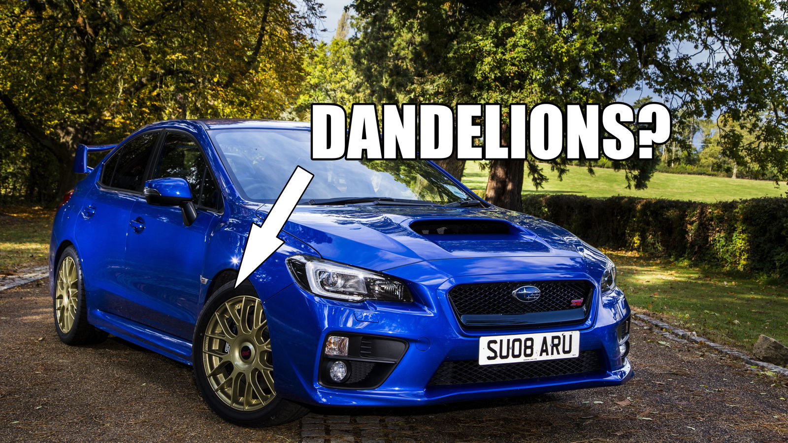 Why Russian Dandelions Are The Next Big Thing In Tyres