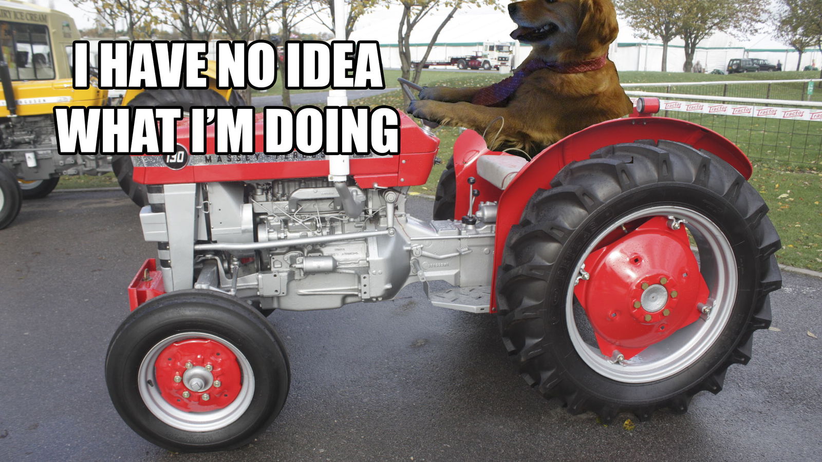 A Tractor-Driving Dog Just Caused Chaos On A UK Motorway