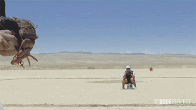 The 10 Hottest Action Gifs On CT This Week 