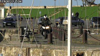These 18 Ridiculous Gifs Show The Pros And Cons Of Motorcycling