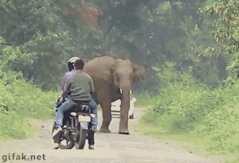 These 18 Ridiculous Gifs Show The Pros And Cons Of Motorcycling