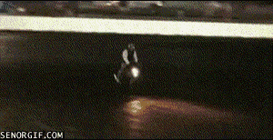 These 18 Ridiculous Gifs Show The Pros And Cons Of Motorcycling
