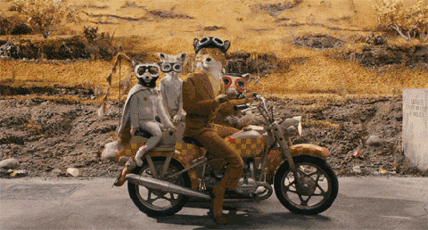 These 18 Ridiculous Gifs Show The Pros And Cons Of Motorcycling