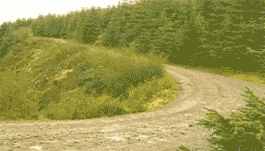 17 Powerful Gifs That Prove Rallying Is The Best Sport In The World