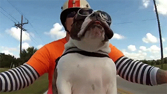 These 18 Ridiculous Gifs Show The Pros And Cons Of Motorcycling