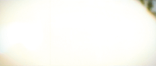 11 GIFs That Describe Honda Owners In A Nutshell 