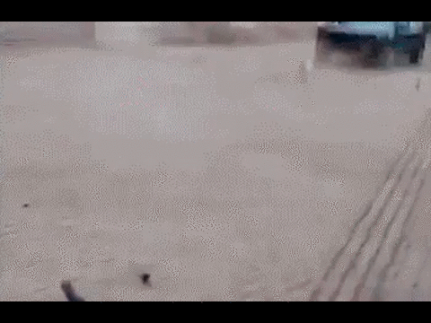 The 10 Hottest Action Gifs On CT This Week 