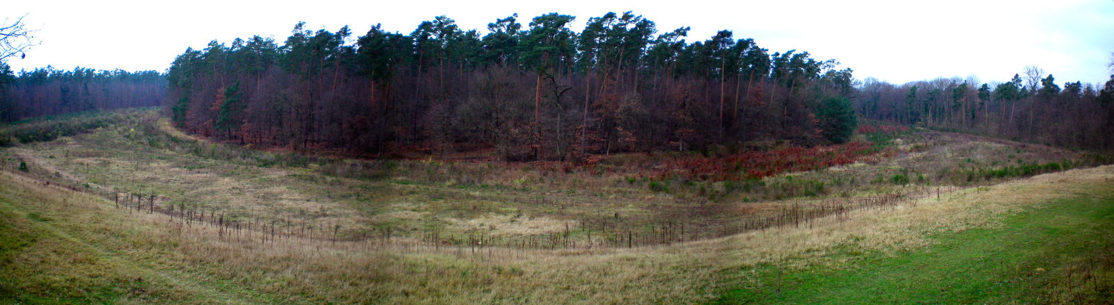 This Is Why We Miss The Old Hockenheimring Layout
