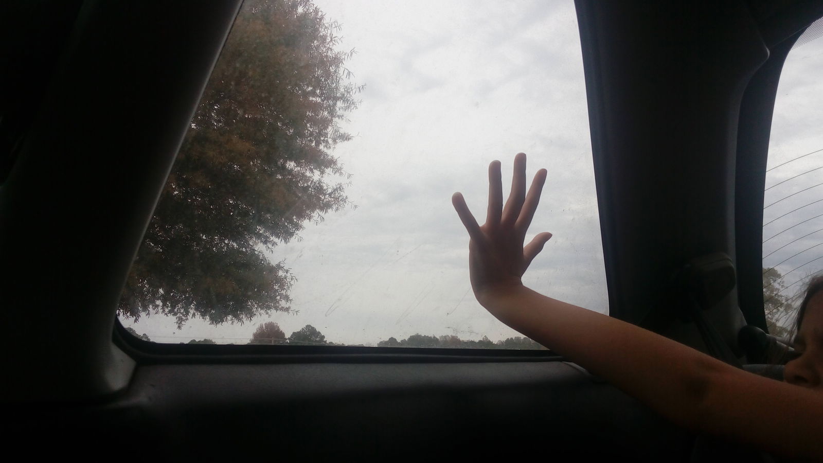 10 Sounds A Parent Never Wants To Hear Coming From The Back Seat