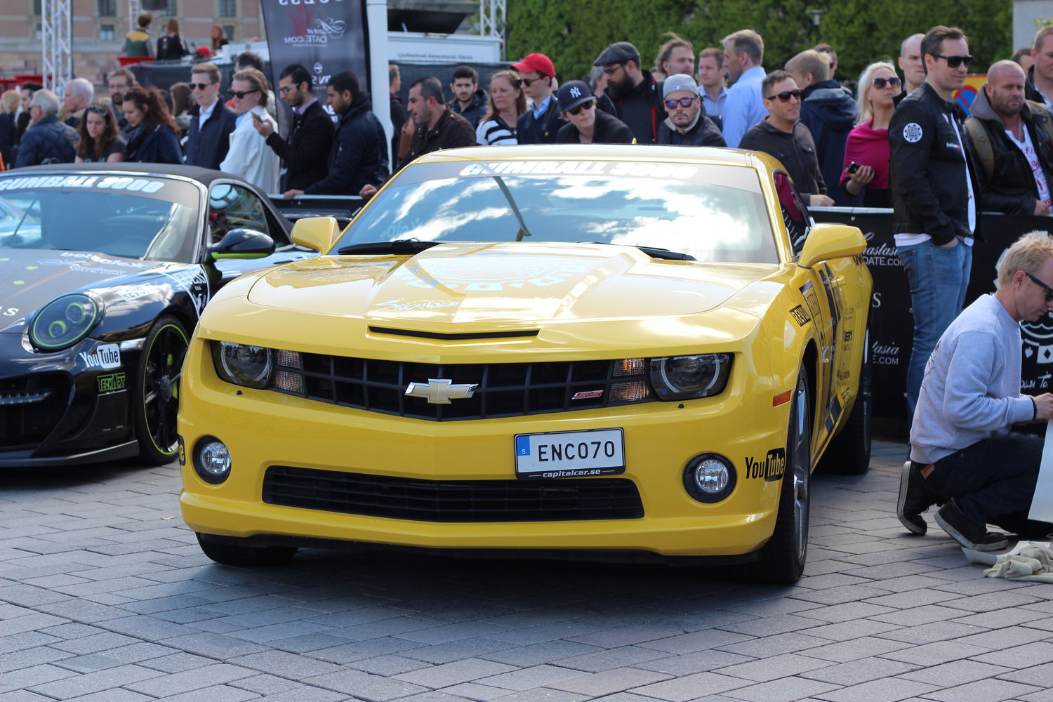 Bumblebee decided to make an appearance