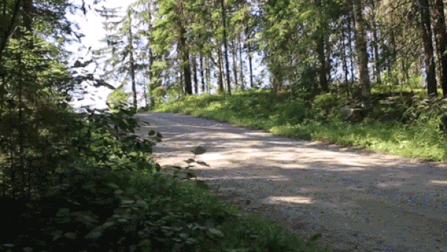 16 Awesome Gifs Of Rally Cars Getting Some Serious Air