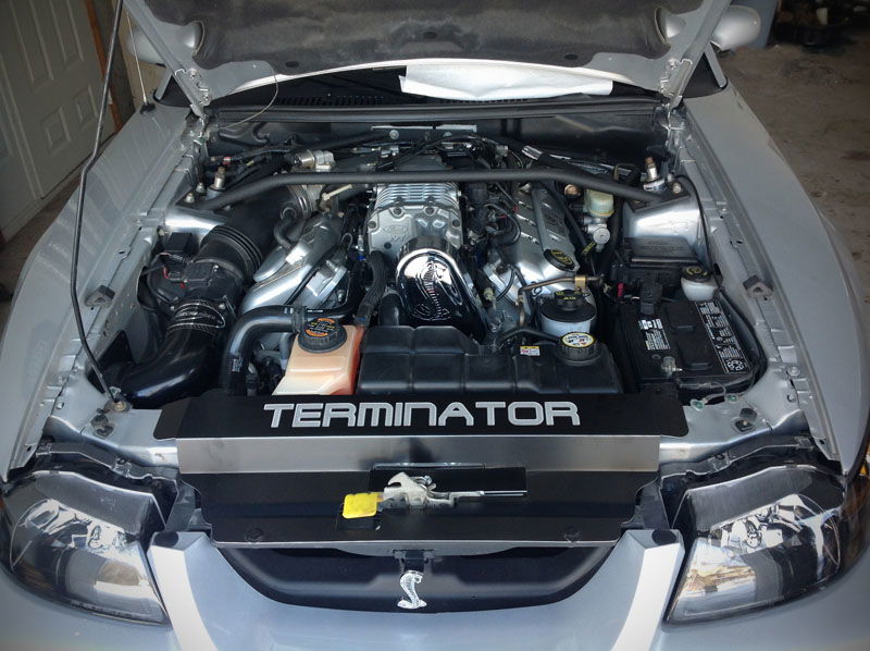 6 Reasons Why I’m A Massive Muscle Car Fanboy
