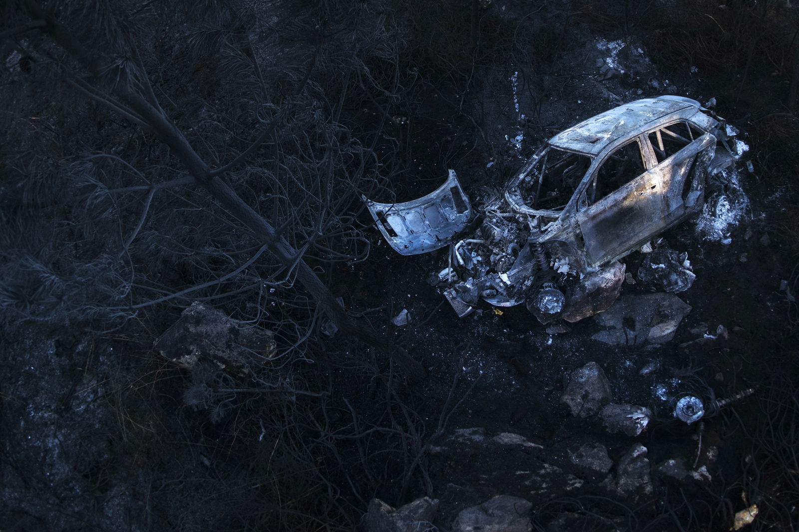 Image source: Red Bull Content Pool/WRC