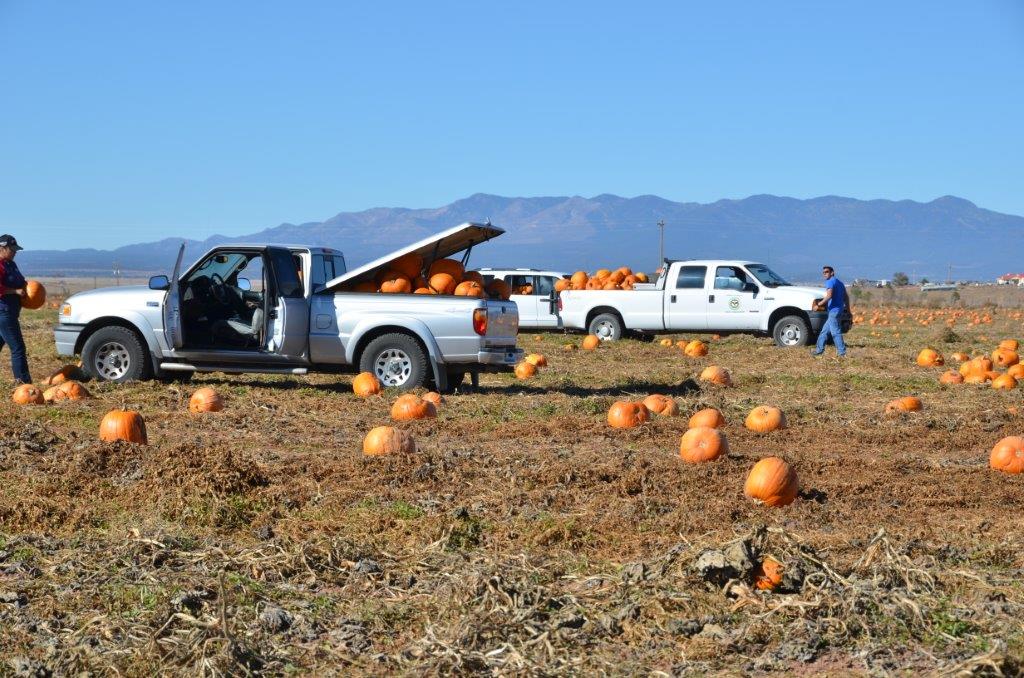 Image source: http://fsa.blogs.govdelivery.com/