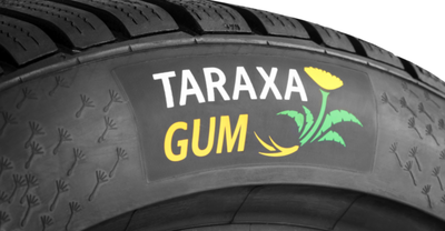 This is Conti's first Dandelion tyre. The natural rubber typically makes up between 10 and 30 per cent of the tyre