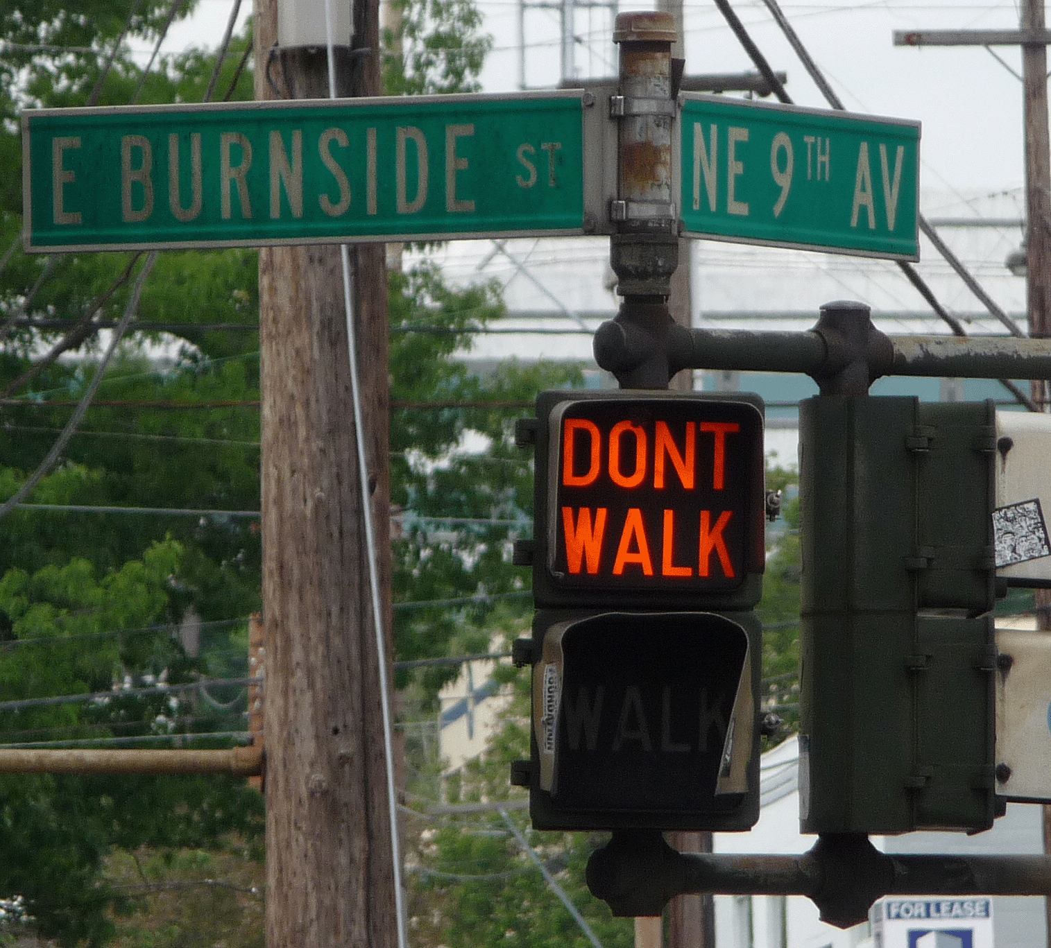 If You Press The Pedestrian Crossing Button, You're Probably Wasting Your Time