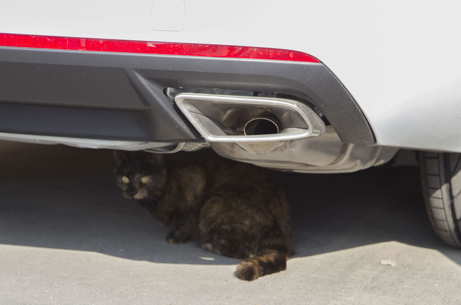 7 Fake Exhaust Pipes That Make Expensive Cars Look Cheap