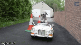 7 Struggles Only Tall Drivers Can Relate To